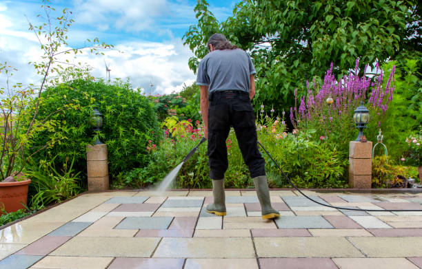  Passapatanzy, VA Pressure Washing Pros