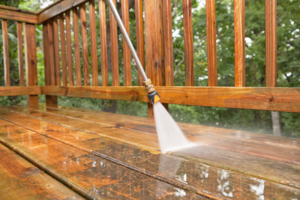 Best House Exterior Washing  in Passapatanzy, VA
